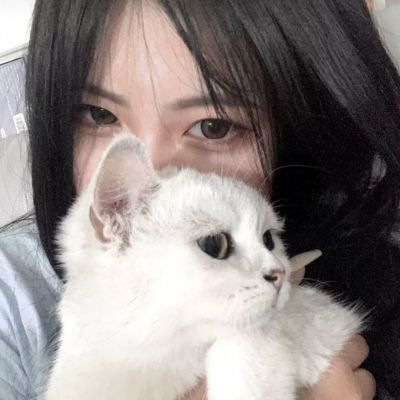 乐鱼官网手机app下载